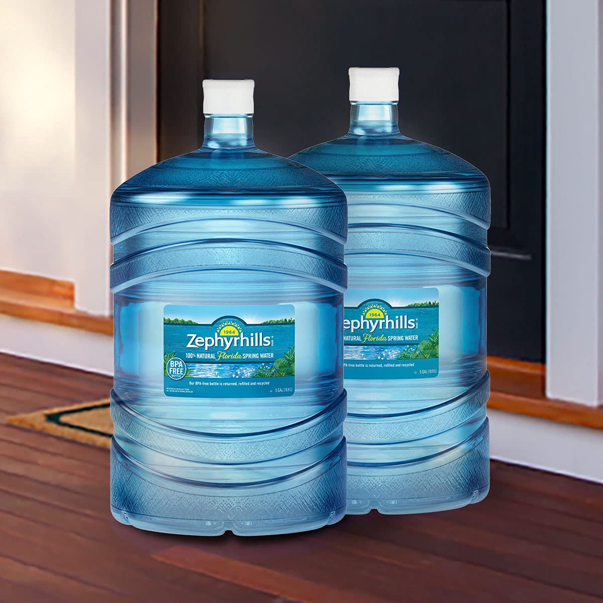 Examining The Differences Reverse Osmosis Vs Distilled Water RO