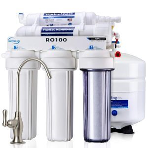 Ispring RO100